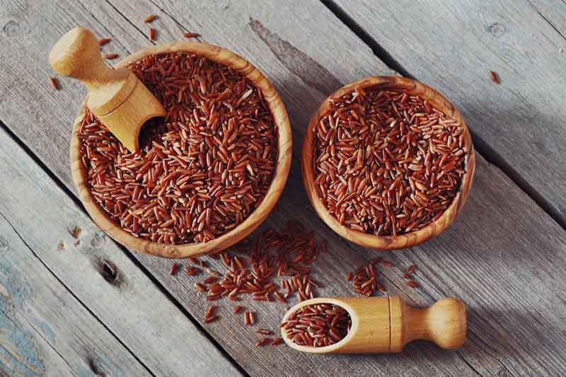 Gạo Lứt Đậu Đỏ Có Công Dụng Gì Và Cách Dùng Như Thế Nào?